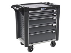 Тележка ПРАКТИК WDS-5.0 NEW S30299022514 - фото 709826