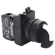 Переключатель EMAS 0-1 с фиксацией (НО+НЗ) тандем +(НО+НЗ) тандем CP404S20