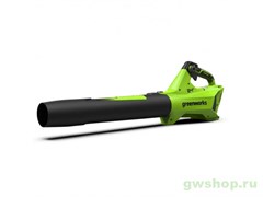 Воздуходув аккумуляторный G-24 24V GREENWORKS G24BIII без АКБ и ЗУ Greenworks 2409607 Воздуходув аккумуляторный G-24 24V GREENWORKS G24BIII без АКБ и ЗУ Greenworks 2409607