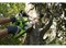 Пила цепная аккумуляторная G-MAX 40V GREENWORKS G40CS30K2 c АКБ 2АЧ и ЗУ Greenworks 20117UA - фото 686970