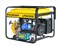 Бензиновый газовый генератор Champion LPG6500E - фото 75614